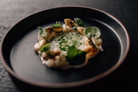foodfotografie sterneküche werbeaufnahmen ilona mueller